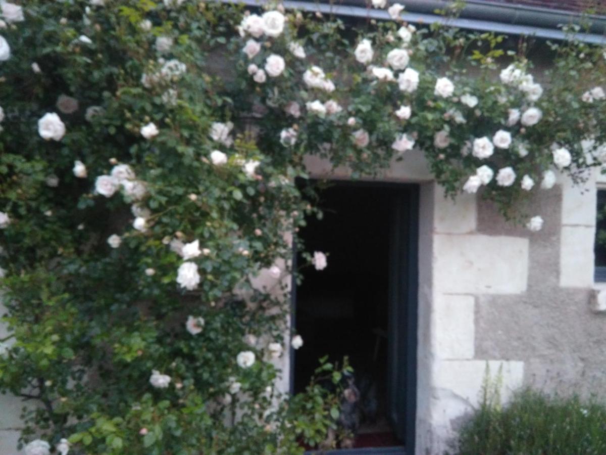 Au Jardin De La Marquetterie Villa Cigogne Buitenkant foto