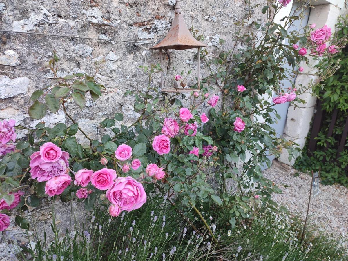 Au Jardin De La Marquetterie Villa Cigogne Buitenkant foto